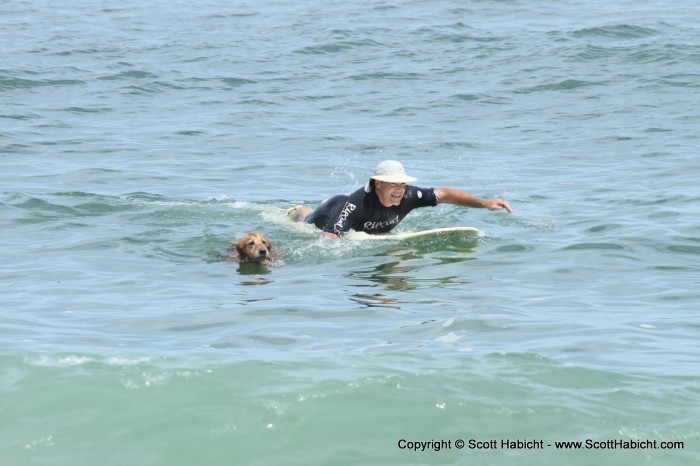 And his dog met him halfway on his swim into shore.