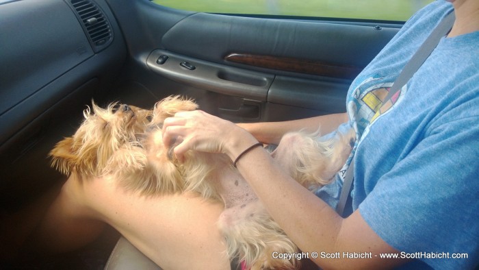 Riley kept her company on the ride down.