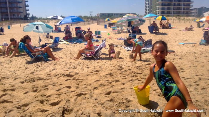 I took a quick trip out to the beach to see how everyone was doing.