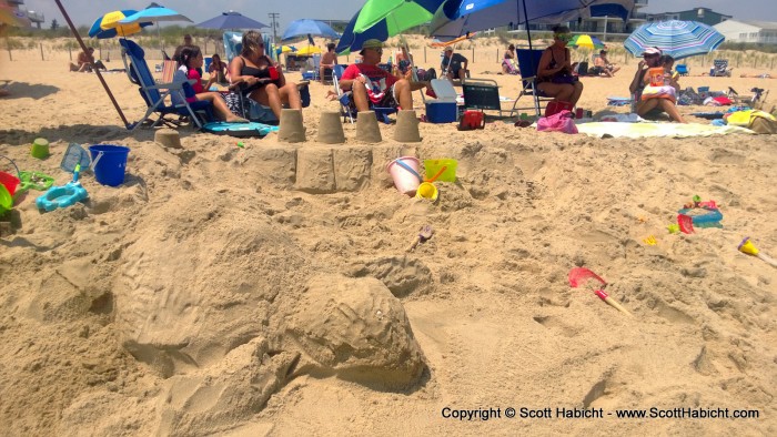 Lori made a large turtle out of sand.