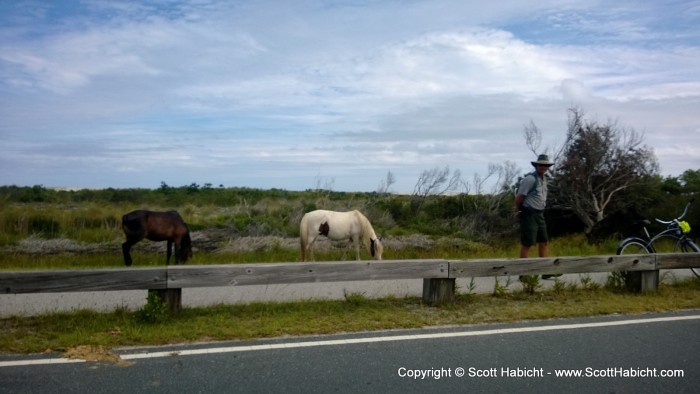 I wanted to see the ponies...