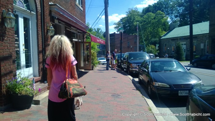 We now needed a carpet for the library, and there is a good store on Main Street in Ellicott City.