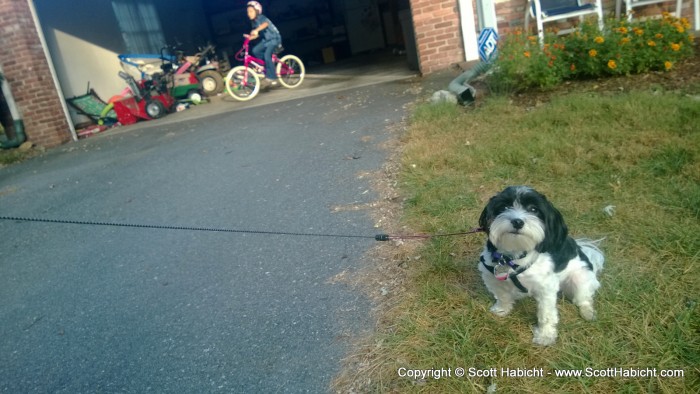 Hanging out with Kristi and the kids again, and it was time to walk the dog.