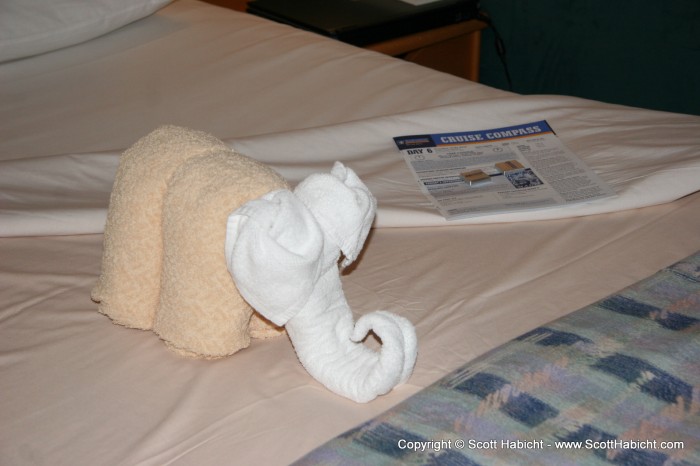 Room service left us an elephant in our room.