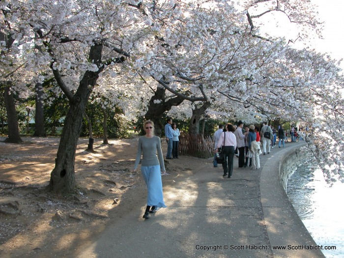 And the colors were in full bloom.