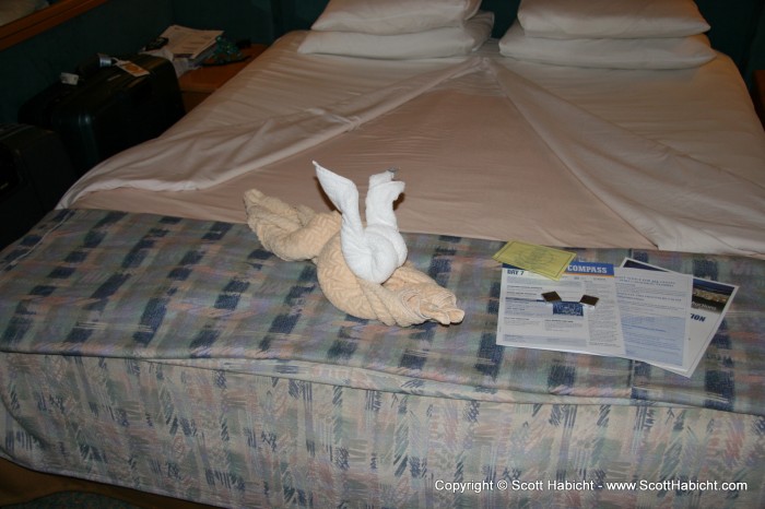 In the room before dinner, we found a rabbit and some more chocolate.