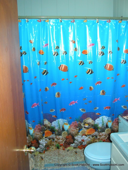 Check out our new shower curtain. Very beach-y.