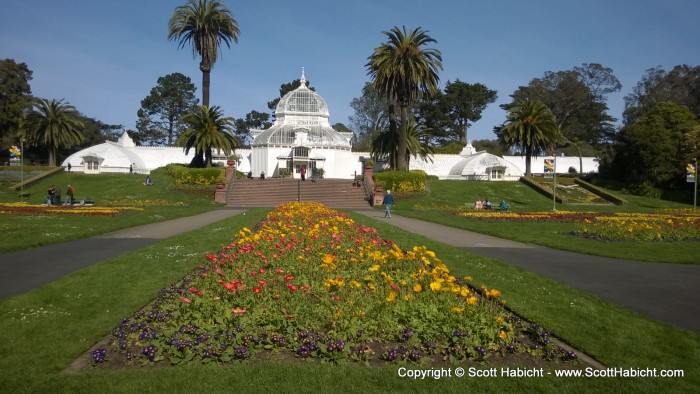 Behind the conservatory...