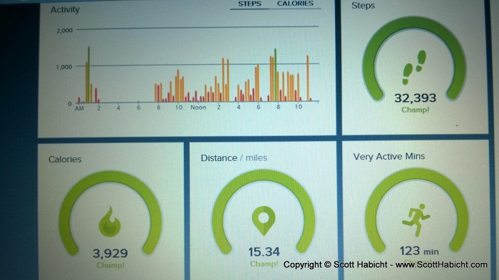 Check out how many steps I got in that day using my fitbit!!!