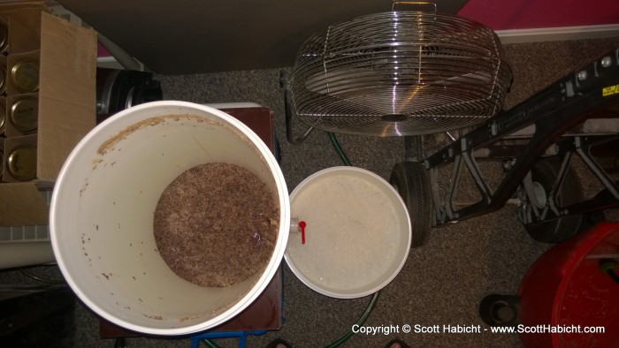 The spent mulberries in the bottom of the primary fermentation bucket.