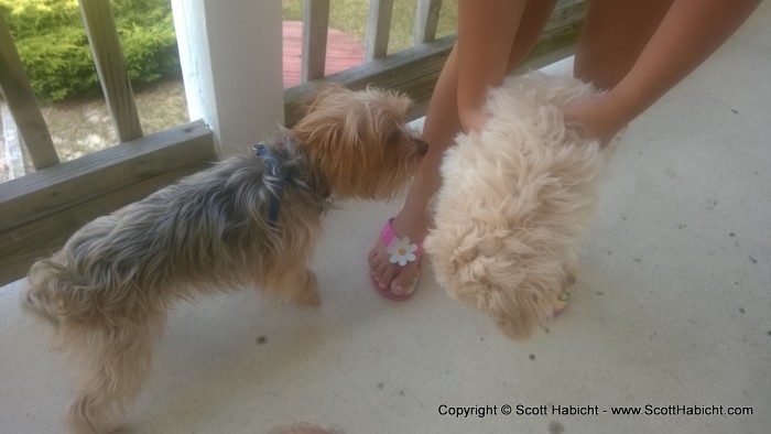 Back at the condo and Riley met Daisy for the first time.