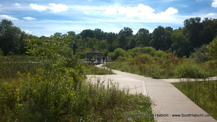 And made our way to the pond.