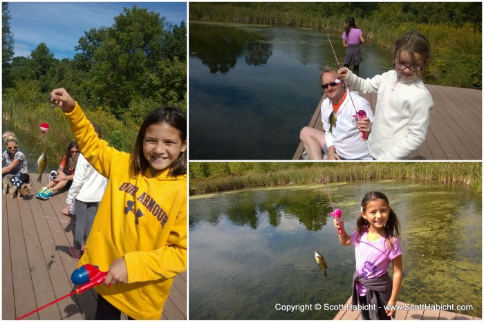 They all managed to get a fish.