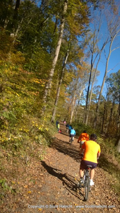 The fall weather couldn't have been better, with a nice wind blowing leaves from the trees.