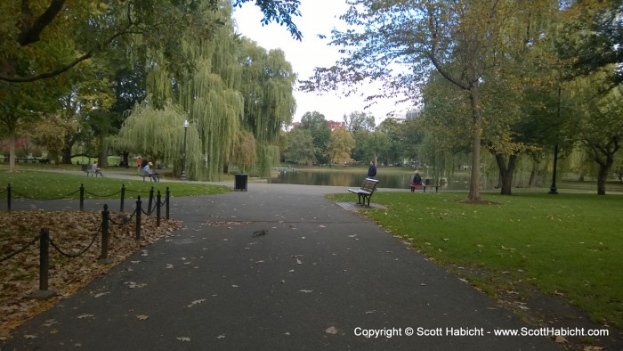 I had time to kill, so I walked though Boston Commons again...