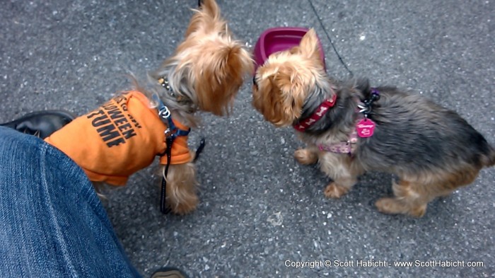 So we sat outside and had some of their brews while Riley made new friends.