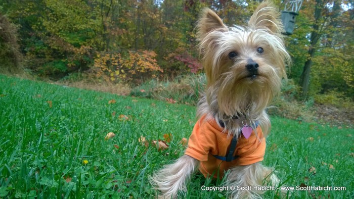 Took Riley outside for a photoshoot...