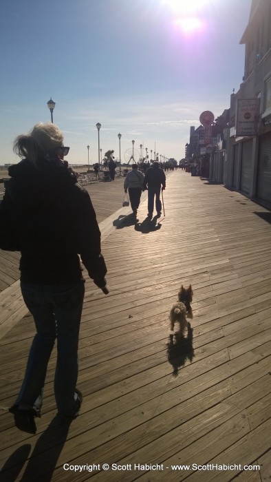 The next morning we did something we don't usually do, we went for a walk on the boardwalk.