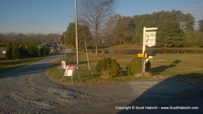 Next, we travelled to Blue Heron Christmas Tree Farm.