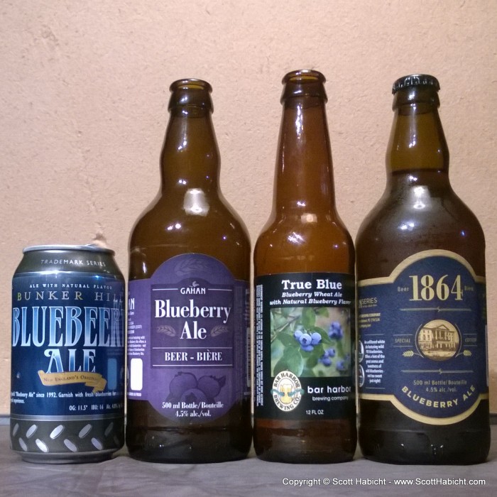 Doing a blueberry beer tasting.