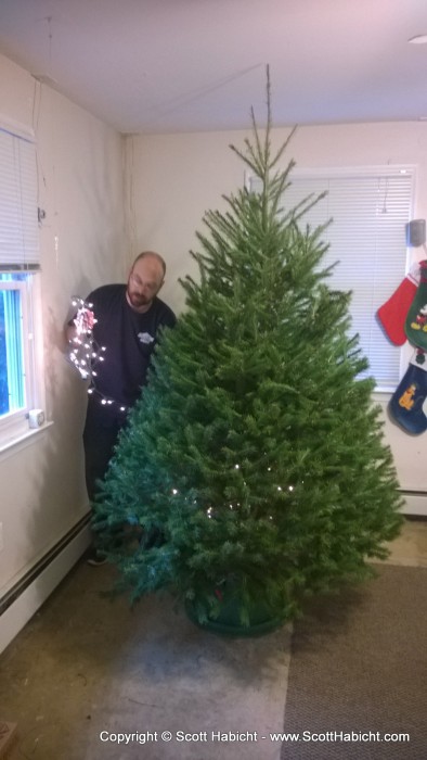 My brother trimmed his tree.