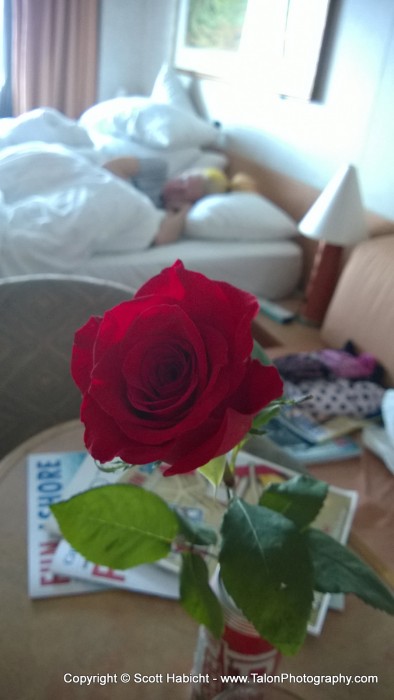 While Kelli was resting, I bought her a rose to brighten up the room.