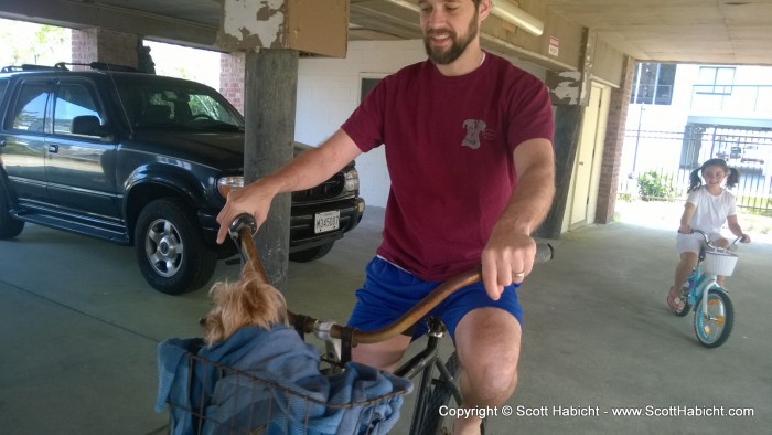 Testing to see if Riley likes riding in a basket on a bike.