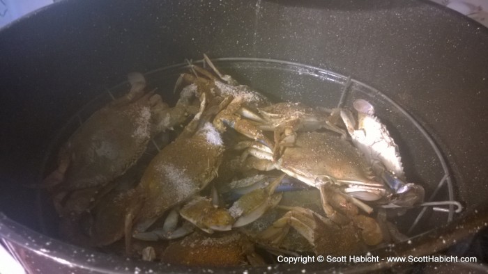 Father's Day started at my brother's house with live crabs in the steam pot.