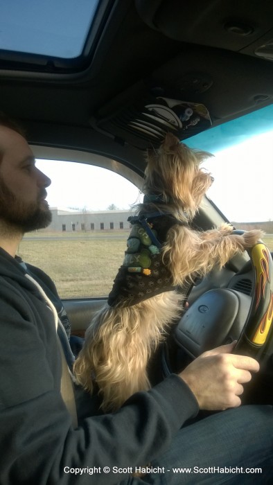 Getting some driving help from Riley.