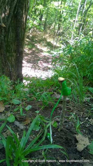 This was the marker on the tow path to let us know where to head back to the hop farm.