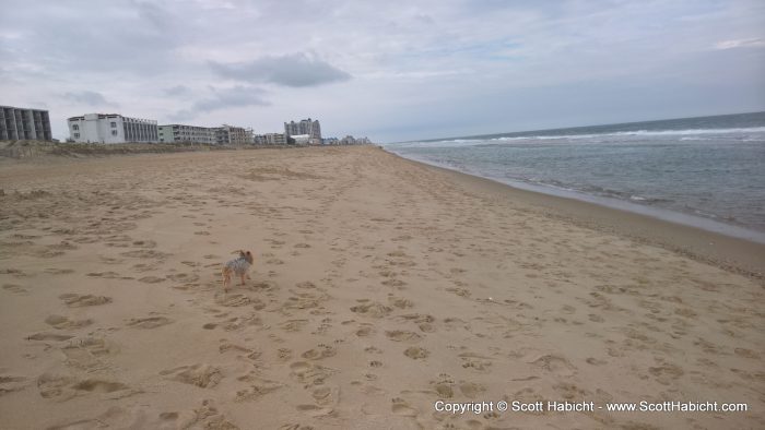 Who doesn't like a walk on the beach?