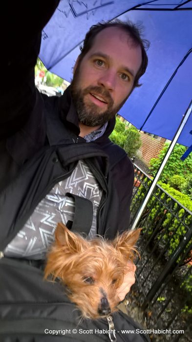 It was raining and Riley doesn't like to get wet, so I threw him in my backpack while I went out for a walk to get lunch in DC.