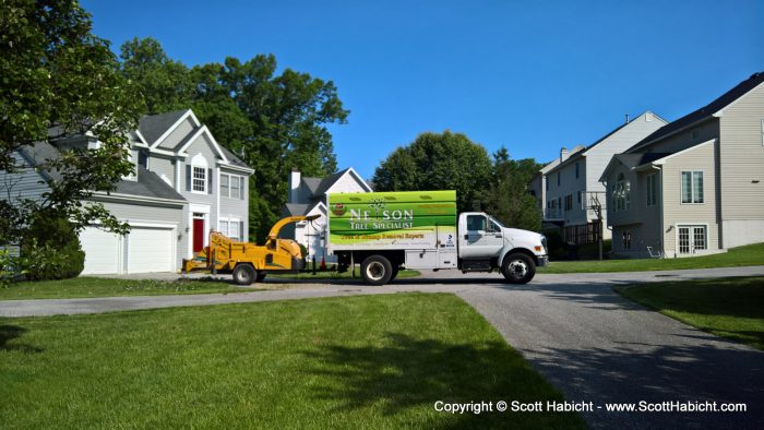 So when I saw these guys taking care of my neighbor's trees...