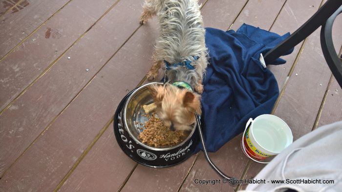 He got the chopped up slidders and was in doggie heaven.