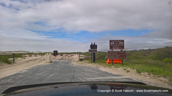 The next morning I renewed my pass to drive on the beach at Assateague Island.