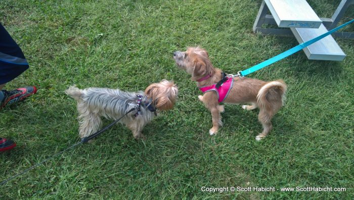 Riley meeting Minnie for the first time.