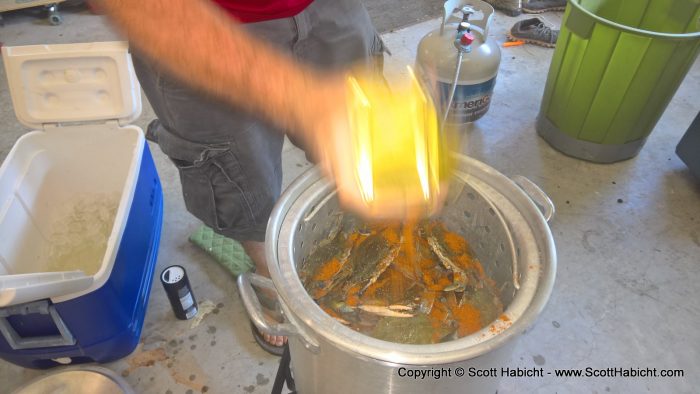 Steaming the crabs.