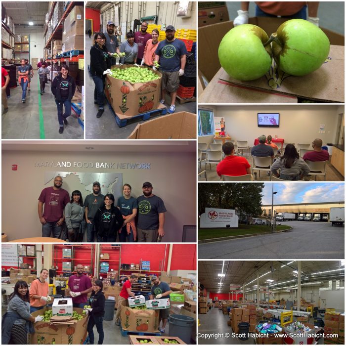 We do a volunteer day at my work, and this year I volunteered at the Maryland Food Bank. We all sorted apples to be given to those in need.