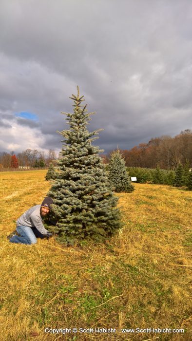 I climbed under and cut it down.