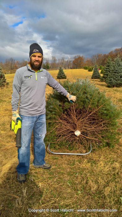 The reciprocating saw made short work of the tree.