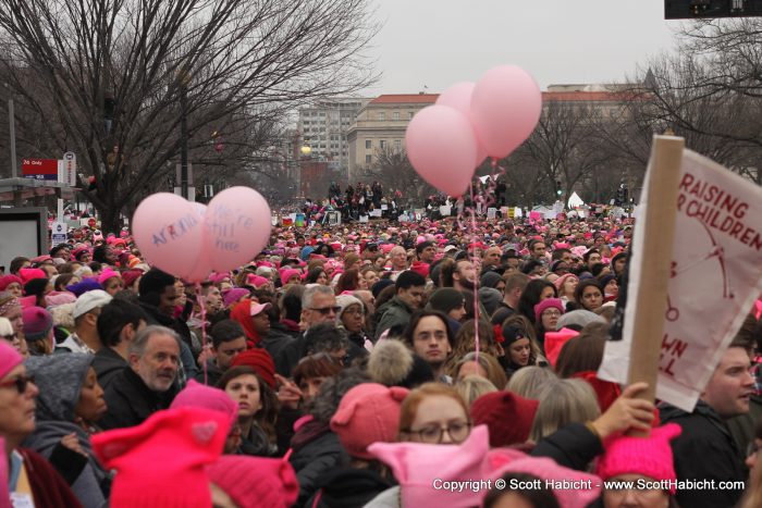 Look at all the pussy hats.