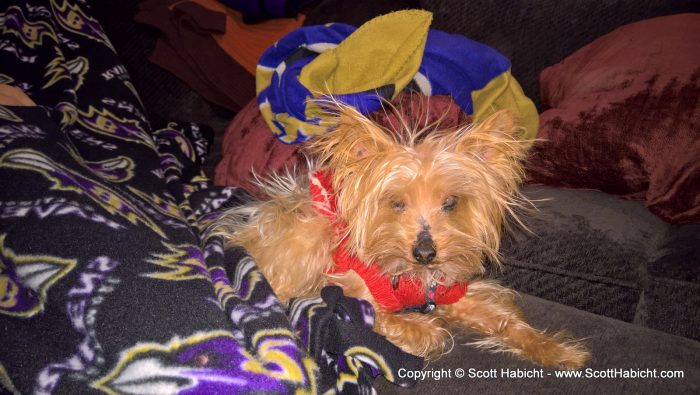 Static electricity for Riley.