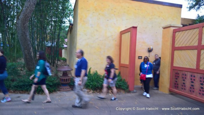 The next day, no pictures backstage, so I grabbed this one as we emerged into Animal Kingdom from backstage.