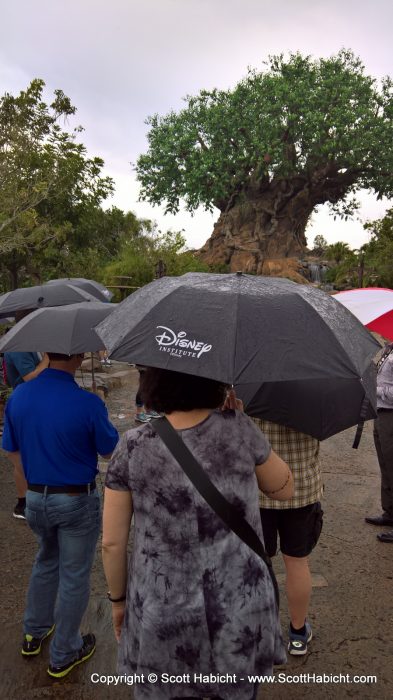 We were given a tour, in the rain, about how some of the leadership processes work.