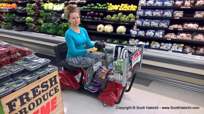 Beach week started with a trip to the grocery store. Molly had injured her foot, so we used the cart.