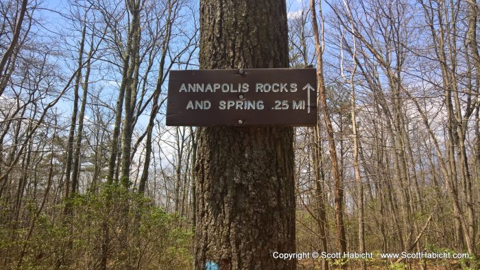 Looking for something fun to do on a Sunday, Molly and I went hiking on the Appalachian Trail.