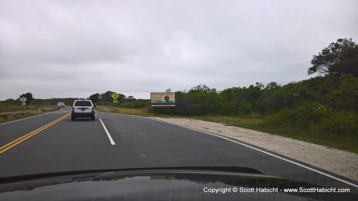 The next morning we drove to Assateague Island.