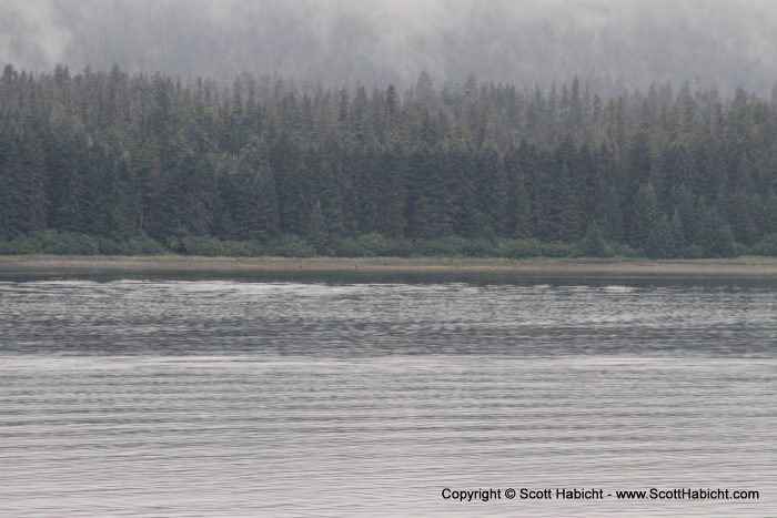 See those dots on the shoreline?