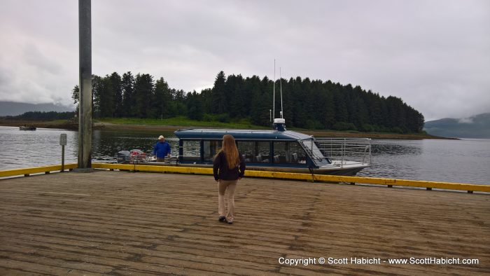 We had an afternoon excursion to go whale watching, and wow, did we get some great views.