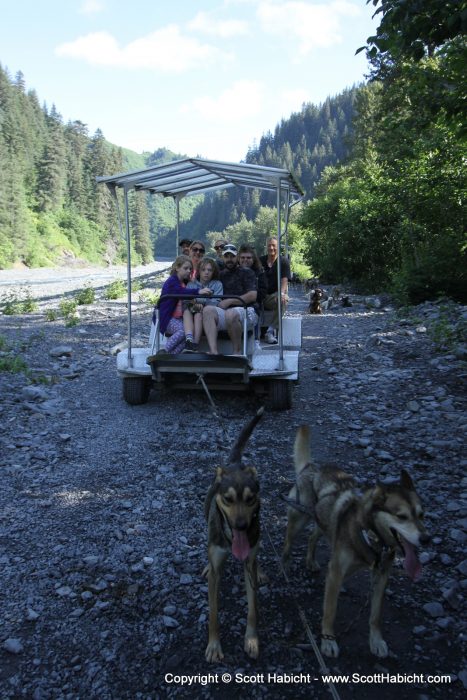 They train the dogs with these "sleds" when there is no snow in the summer.